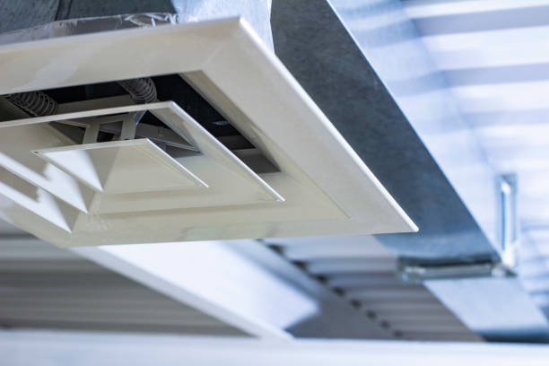 Best Air Duct Inspection  in Mayville, MI