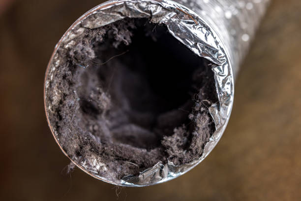 Best Best Air Duct Cleaning Company  in Mayville, MI