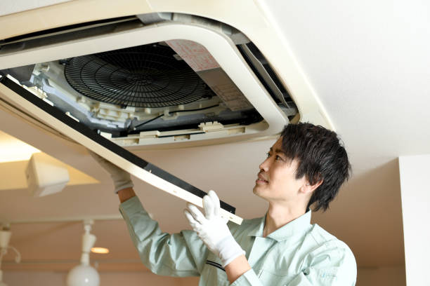 Best Air Vent Cleaning Services  in Mayville, MI