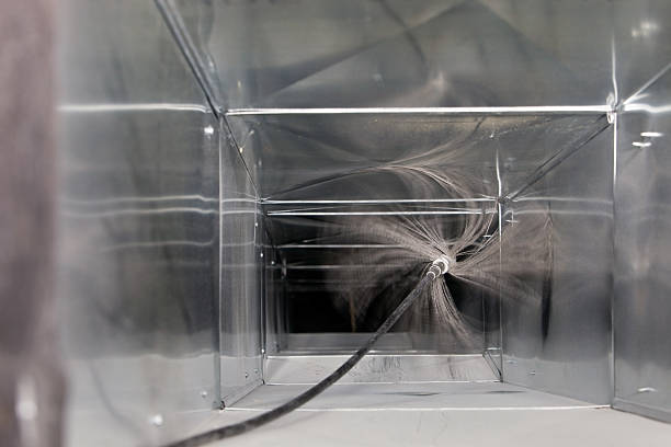 Best Professional Duct Cleaning Services  in Mayville, MI