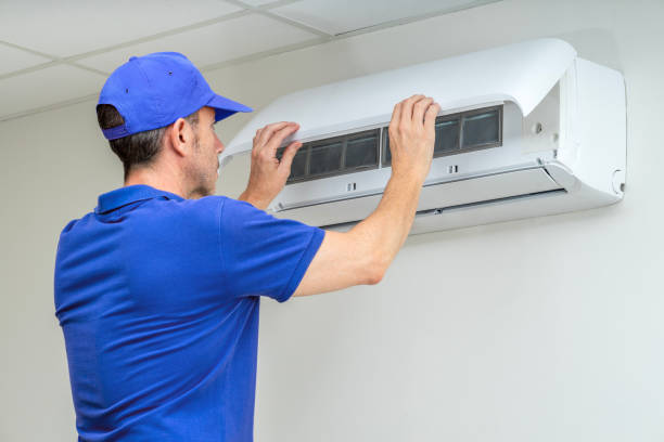 Best Home Air Vent Cleaning  in Mayville, MI