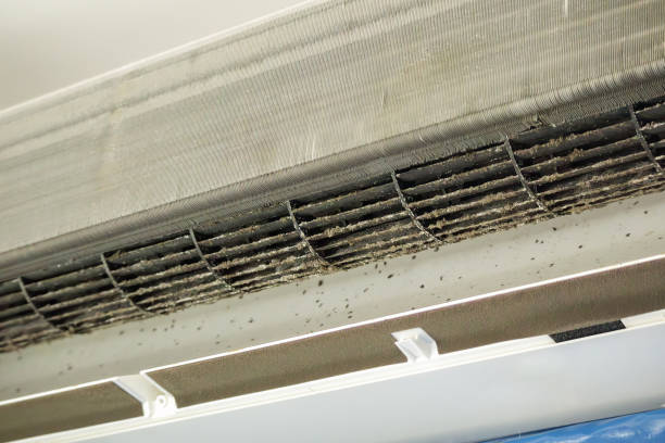 Best Air Duct Cleaning Near Me  in Mayville, MI