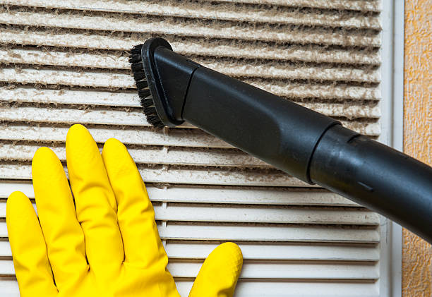 Best Air Duct Cleaning Near Me  in Mayville, MI