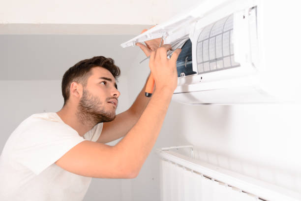 Best Ductwork Cleaning Services  in Mayville, MI